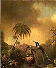 Martin Johnson Heade Thorn-Tail, Brazil painting